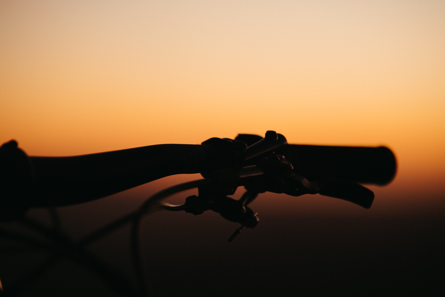 rename_KZ_2021_niccolatest0125