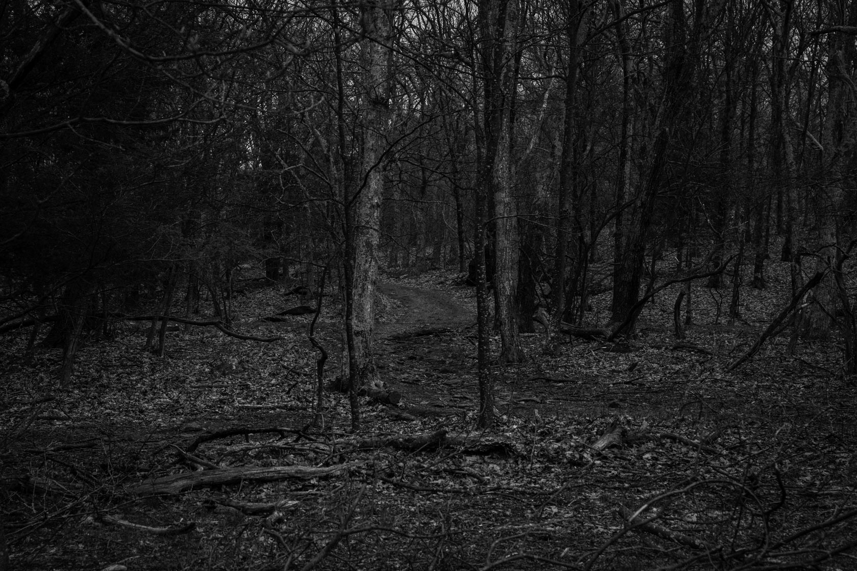 shenandoahmtns_VIL-50